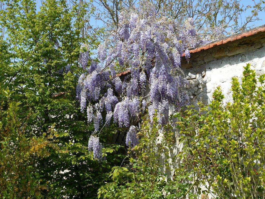 Gites De La Grande Ferme Avernes ห้อง รูปภาพ